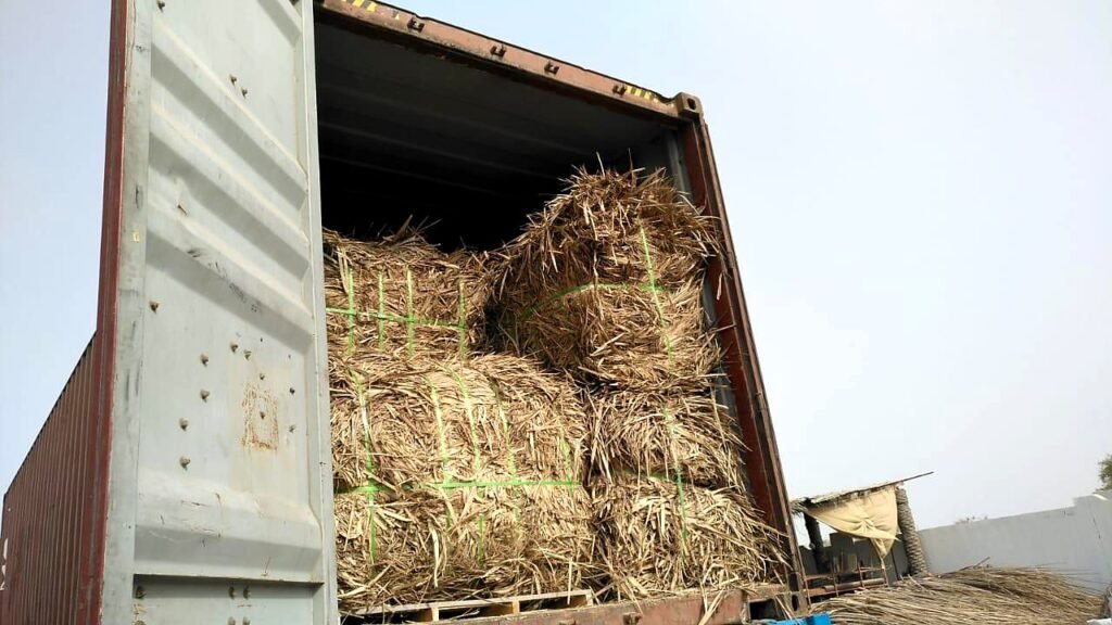 Home Palm frond bales loaded into a shipping container for supply