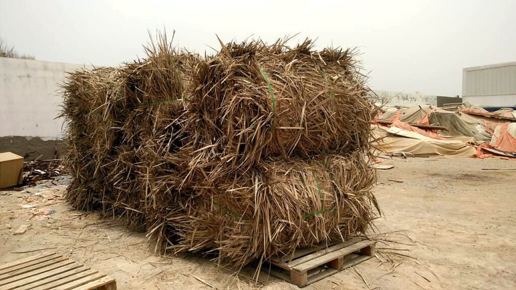 Palm Waste Supply Compressed palm frond bales strapped on a pallet