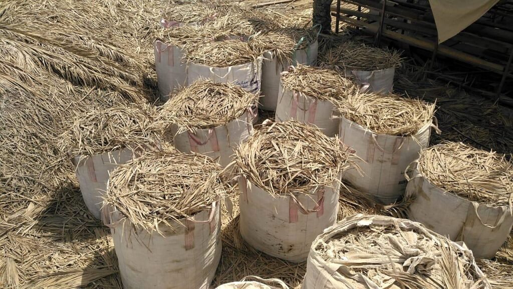 Home Sorted palm leaflets packed in bulk bags